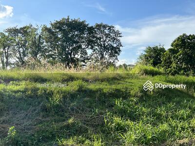 ขาย - พัทยาคันทรีคลับ 55 หมู่ 2 ถนนไฮเวย์ 331 ตำบลเขาไม้เขียว อำเภอบางละมุง จังหวัดชลบุรี 20150,, ชลบุรี