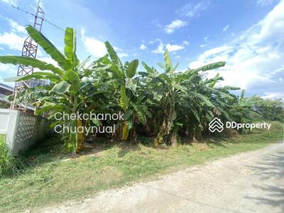 ขาย - ที่ดินสวย พัทยา หาดจอมเทียน ซอย 4, ชลบุรี