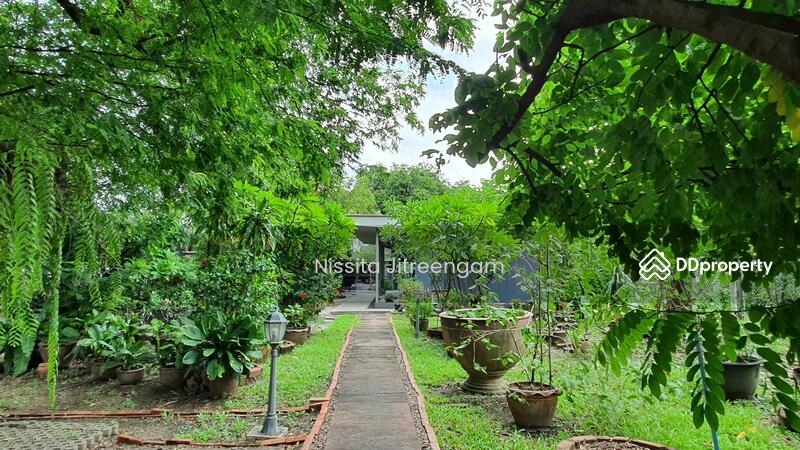 ที่ดิน 643 ตร.ว. พร้อมสิ่งปลูกสร้าง ทำเลดี ซอยวิภาวดีรังสิต 58, 60 DBL-S005, Bangkok, Talat Bang Khen, Lak Si, Bangkok, , 2,572 sqm, Land For Sale, by Nissita Jitreengam, 11087812 - DDproperty.com