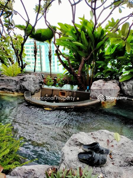 The Address Asoke, Bangkok, 1655 Petchburi Road, Makkasan, Ratchathewi, Bangkok, 1 Bedroom, 45 sqm, Condo For Rent, by NextStep Property, 11089671 - DDproperty.com