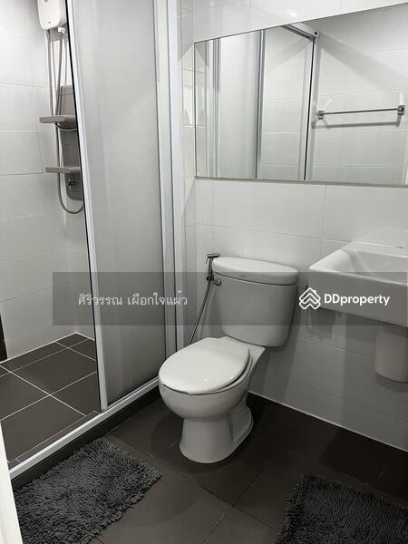Aspire Sukhumvit 48, Bangkok, Sukhumvit Road, Phra Kanong, Khlong Toei, Bangkok, 1 Bedroom, 32 sqm, Condo For Rent, by ศิริวรรณ เผือกใจแผ้ว, 11090372 - DDproperty.com
