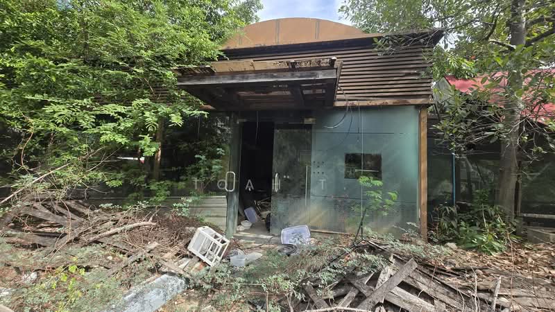 ที่ดินให้เช่า ทองหล่อ สุขุมวิท : land for rent thong lor sukhumvit 53, Bangkok, Phra Kanong, Khlong Toei, Bangkok, , 2,304 sqm, Land For Rent, by TOAH T., 11092255 - DDproperty.com