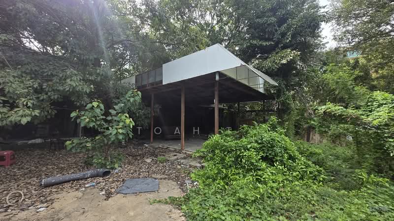 ที่ดินให้เช่า ทองหล่อ สุขุมวิท : land for rent thong lor sukhumvit 53, Bangkok, Phra Kanong, Khlong Toei, Bangkok, , 2,304 sqm, Land For Rent, by TOAH T., 11092255 - DDproperty.com