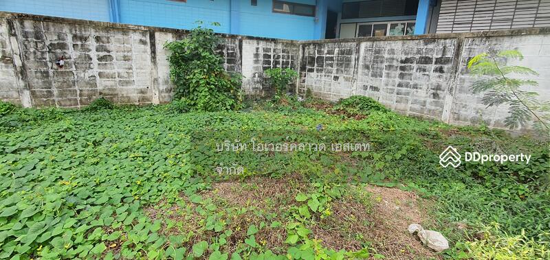 ให้เช่า - ที่ดินให้เช่า เอกมัย พระโขนง : Land for rent ekkamai prakanong, กรุงเทพ
