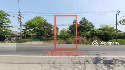 ขาย - ขาย ที่ดินเปล่า 1 งาน ( 109 ตารางวา ) ติดถนนประชาสำราญ แขวงหนองจอก เขตหนองจอก กรุงเทพมหานคร, กรุงเทพ