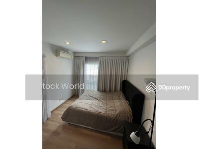 ขาย - The Seed Memories Siam : เดอะ ซี้ด เมมโมรี่ สยาม, กรุงเทพ