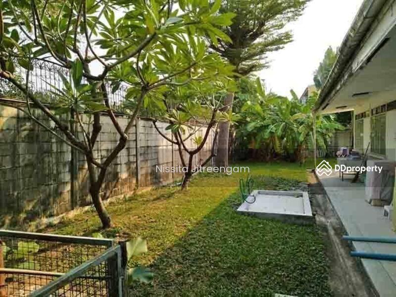 ที่ดินพร้อมบ้าน ซอยลาดพร้าว 35 ใกล้แนวรถไฟฟ้าสายสีเหลือง DBL-S007, Bangkok, Chan Kasem, Chatuchak, Bangkok, , 1,504 sqm, Land For Sale, by Nissita Jitreengam, 11092618 - DDproperty.com