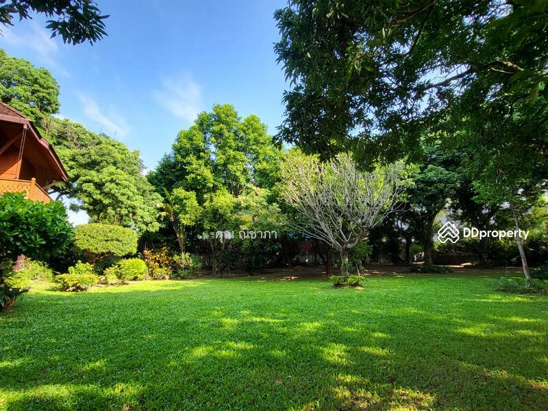 For Sale - Detached house for sale in north chiangmai, Mae Rim district, 2 - 1 - 95 Rai, Chiang Mai
