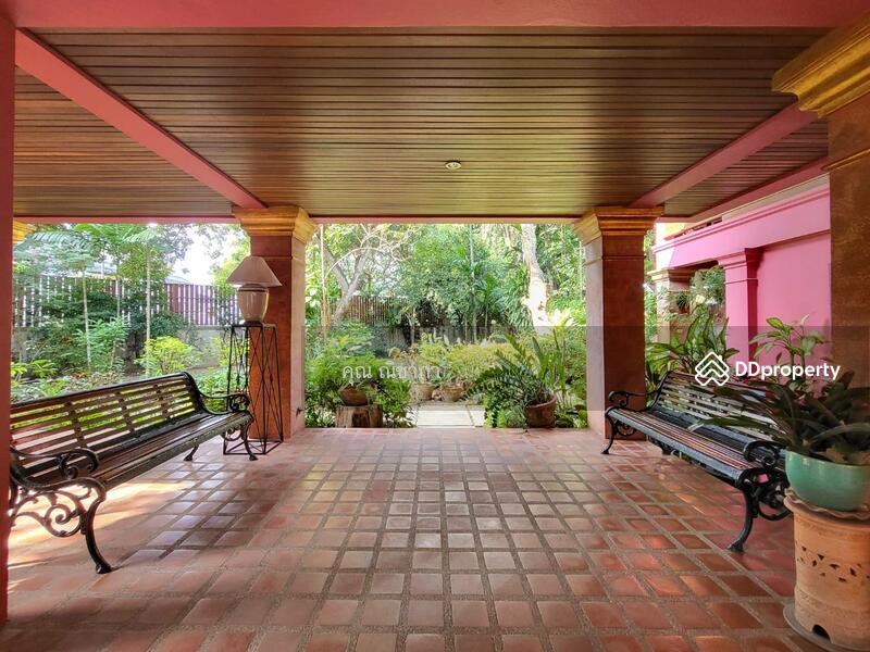 For Sale - Detached house for sale in north chiangmai, Mae Rim district, 2 - 1 - 95 Rai, Chiang Mai