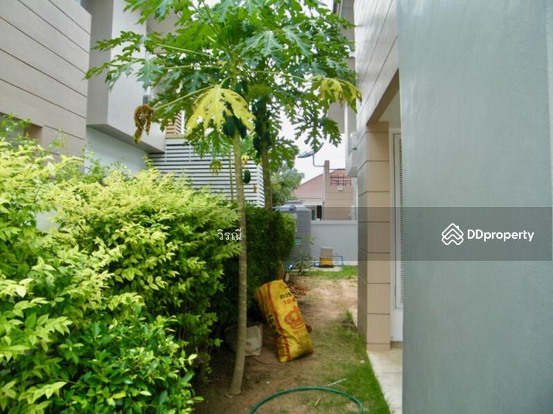 เช่า บ้านเดี่ยว 2 ชั้น ใกล้ไนท์บ้านเกาะ, นครราชสีมา, บ้านเกาะ, เมืองนครราชสีมา, นครราชสีมา, 220 ตร.ม., บ้านเดี่ยว ให้เช่า, โดย วิรณี, 11094635 - DDproperty.com