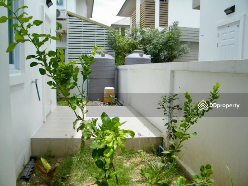 เช่า บ้านเดี่ยว 2 ชั้น ใกล้ไนท์บ้านเกาะ, Nakhon Ratchasima, Ban Ko, Muang Nakhon Ratchasima, Nakhon Ratchasima, 3 Bedrooms, 220 sqm, Single Detached House For Rent, by วิรณี, 11094635 - DDproperty.com