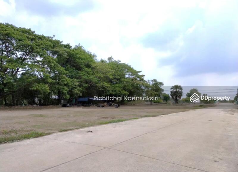 ที่ดินคลอง 5 ปทุมธานี ติดน้ำ มีหลายแปลง, Pathum Thani, Khlong Ha, Khlong Luang, Pathum Thani, , 1,109 sqm, Land For Sale, by Pichitchai Kaensaksiri, 11096489 - DDproperty.com