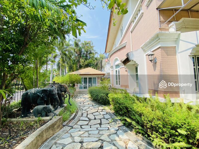 หมู่บ้านลัดดาวัล สุขุมวิท 103 ถนนเฉลิมพระเเกียรติ บ้านหน้าสวนแปลงมุม, กรุงเทพ, Chalermprakiet Lor 9 เฉลิมพระเกียรติ ร.๙, หนองบอน, ประเวศ, กรุงเทพ, 550 ตร.ม., บ้านเดี่ยว ขาย, โดย ธนัชสร หงษ์มานพ, 11099807 - DDproperty.com