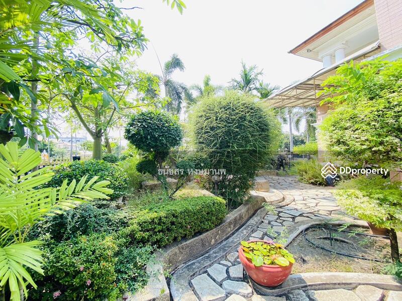 หมู่บ้านลัดดาวัล สุขุมวิท 103 ถนนเฉลิมพระเเกียรติ บ้านหน้าสวนแปลงมุม, กรุงเทพ, Chalermprakiet Lor 9 เฉลิมพระเกียรติ ร.๙, หนองบอน, ประเวศ, กรุงเทพ, 550 ตร.ม., บ้านเดี่ยว ขาย, โดย ธนัชสร หงษ์มานพ, 11099807 - DDproperty.com