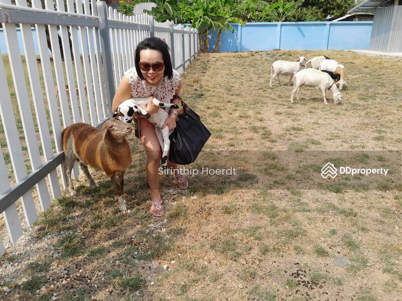 ให้เช่า - หอพัก บ้านคุณศิรินทร์ทิพย์, สระบุรี