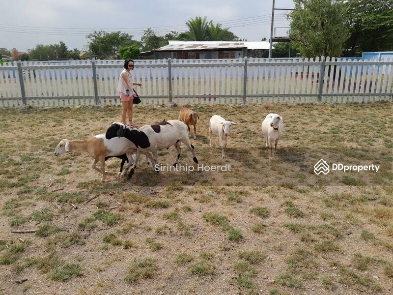 ให้เช่า - หอพัก บ้านคุณศิรินทร์ทิพย์, สระบุรี