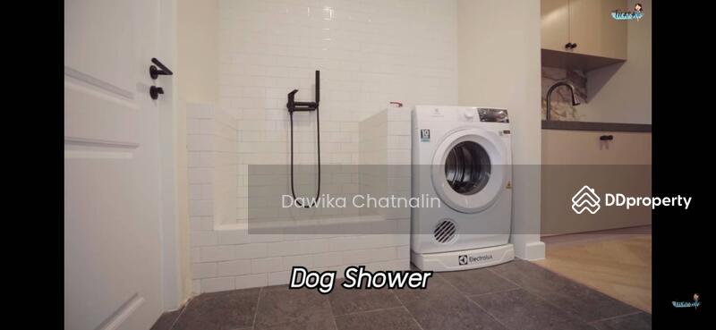 Single house in, Bangkok, พรโขนง, Phra Kanong Nua, Watthana, Bangkok, 3 Bedrooms, 350 sqm, Single Detached House For Rent, by Davika Chatnalin, 11104901 - DDproperty.com