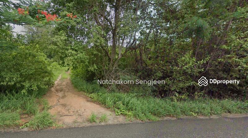 ขาย - ขายที่ดิน 25 ไร่ 126 ตารางวา ถนนเพชรเกษม ต.ห้วยทราบ อ.เมือง จ.ประจวบคีรีขันธ์, ประจวบคีรีขันธ์