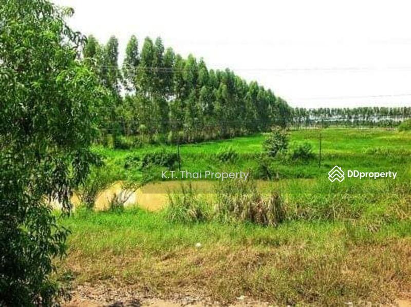For Rent - Prime 14-Rai Land for Sale or Rent – AEC Strategic Road, Chachoengsao, Chachoengsao