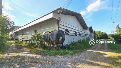 ขาย - ขายโรงงานเมืองนครปฐม 8 ไร่กว่า, นครปฐม