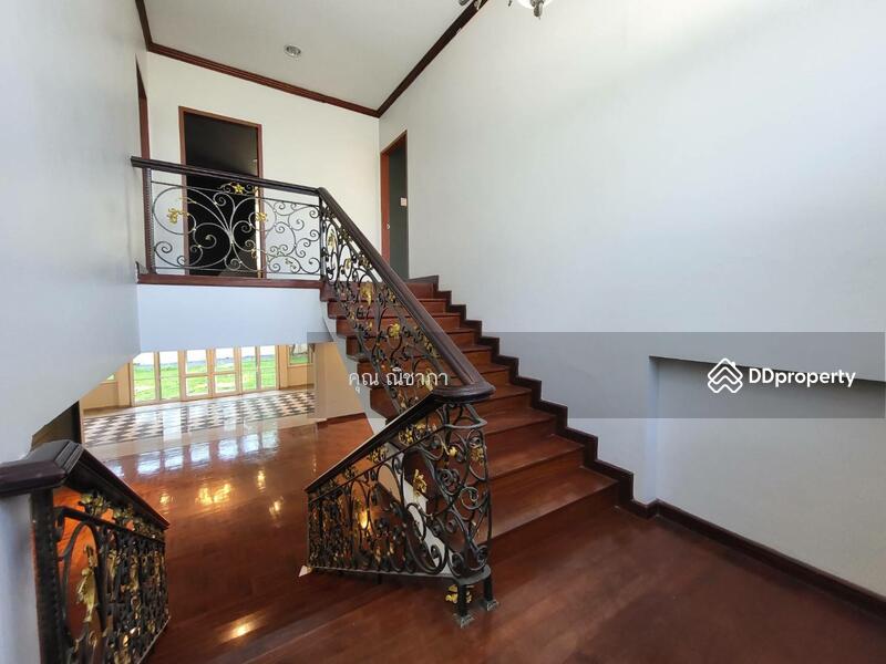 เช่า บ้านเดี่ยว อ่อนนุช 14 หลังใหญ่ 400 ตรว. 600 ตรม. พัฒนาการ 38 สวนกว้าง 4 นอน 5 น้ำ, กรุงเทพ, สวนหลวง, กรุงเทพ, 600 ตร.ม., บ้านเดี่ยว ให้เช่า, โดย คุณ ณิชาภา, 11111071 - DDproperty.com