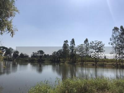 ขาย - ที่ดินติดถนนสระบุรี-หล่มสัก, เพชรบูรณ์