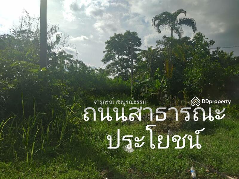 ขาย - มทส.ประตู1, นครราชสีมา