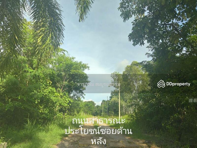 ขาย - มทส.ประตู1, นครราชสีมา