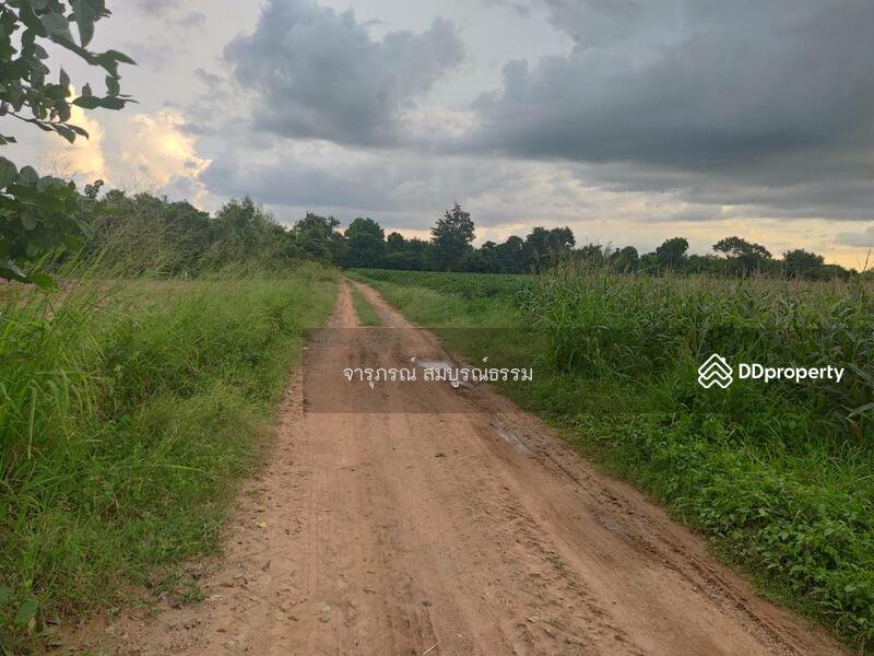 ถนนหน้าแปลงที่ดินเป็นถนนดิน ห่างจากถนนคอนกรีตประมาณ500-600 เมตร