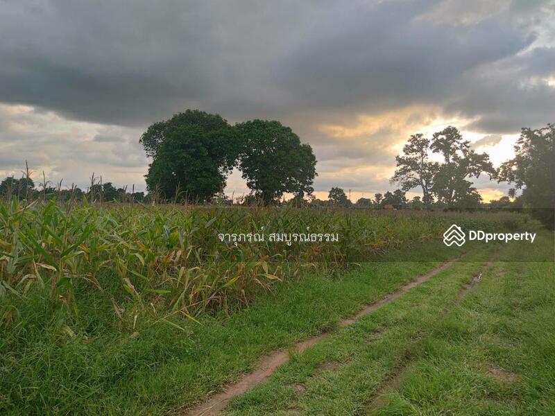 ถนนซอยแปลงด้านใน