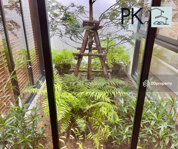 ให้เช่า - 5R0595 This house for rent 2bedroom 1bathroom 40,000 per month at kathu have fully furnished, ภูเก็ต