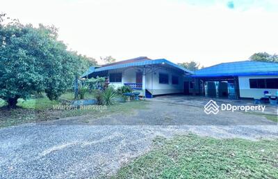 ขาย - บ้านสวนชั้นเดียว เนื้อที่สองไร่เศษ อ.เกาะคา, ลำปาง