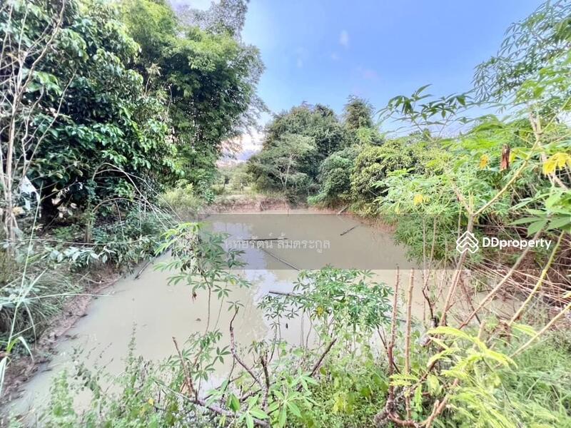 For Sale - Single story garden house, Ko Kha District, Lampang., Lampang