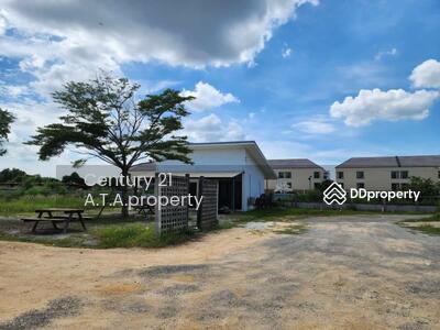 ขาย - ขายที่ดินในศรีรราชา ถนนไร่กล้วย, ชลบุรี