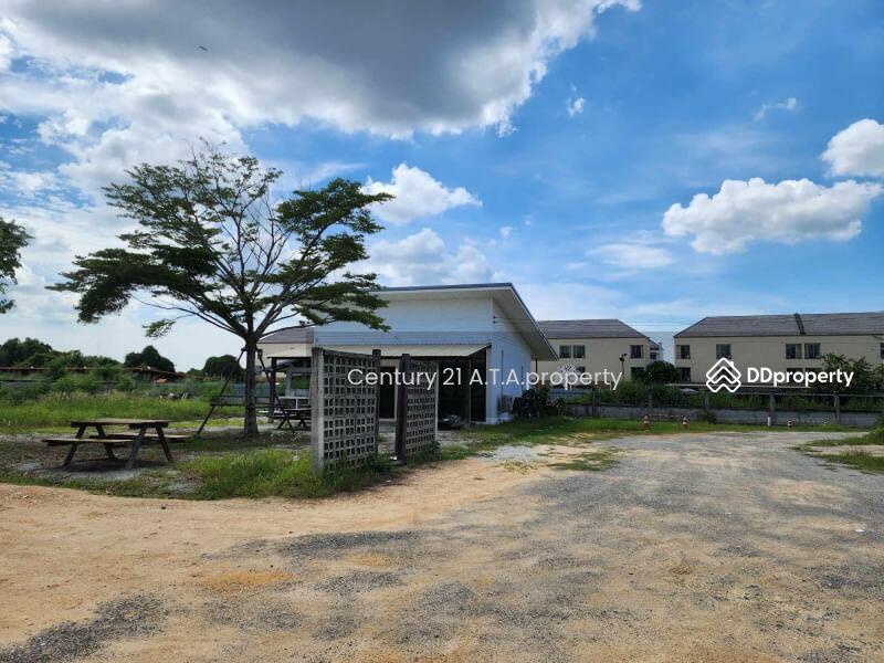 ขายที่ดินศรีราชา ที่ดินสวยพร้อมบ้าน พื้นที่ถมแล้ว ถนนไร่กล้วย นาพร้าว