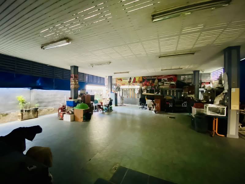 พุทธมณฑล สาย 3, กรุงเทพ, - พุทธมณฑล สาย 3, ศาลาธรรมสพน์, ทวีวัฒนา, กรุงเทพ, 670 ตร.ม., สำนักงาน ขาย, โดย กษิกาญ ชุณหมณี, 11128464 - DDproperty.com