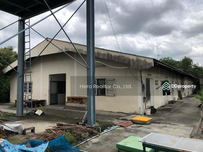 For Sale - For Sale Pathum Thani Factory Lam Luk Ka BRE18140, Pathum Thani