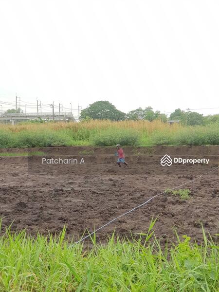 ขาย - สุวินทวงศ์ 98, กรุงเทพ