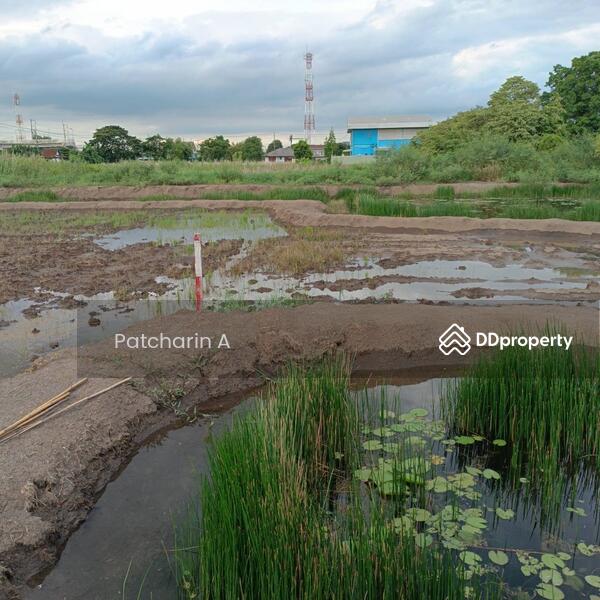 For Sale - 4 RAI LAND FOR SALE, Bangkok