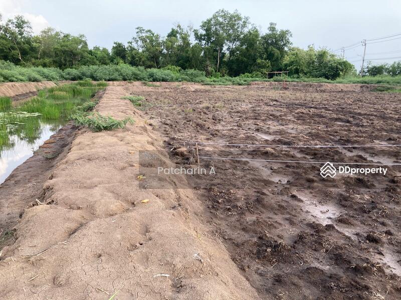 For Sale - 4 RAI LAND FOR SALE, Bangkok