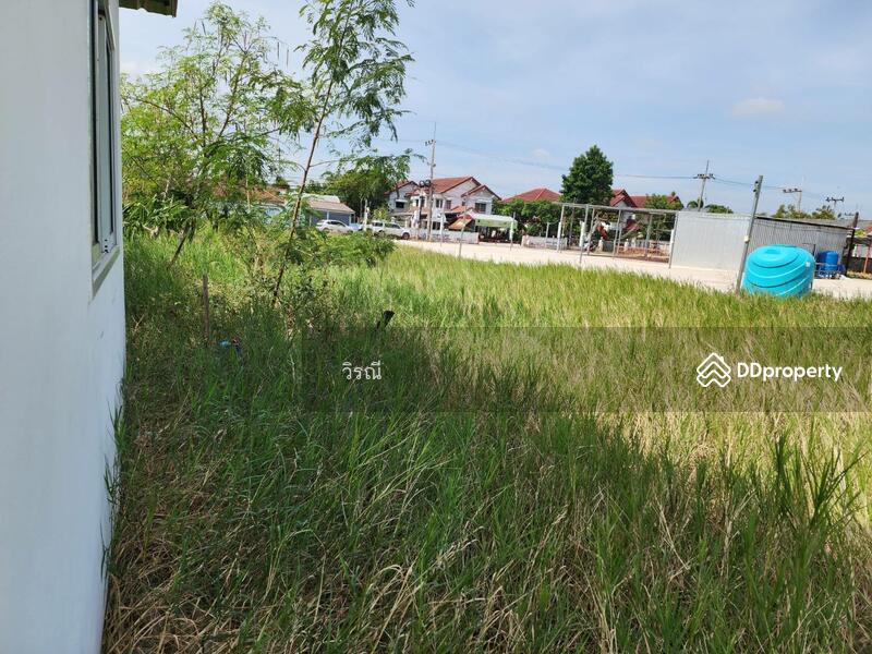 Land for rent Closed Fresh Sakok Market, nakhon-ratchasima, Cho Ho, Muang Nakhon Ratchasima, Nakhon Ratchasima, , 1,200 sqm, Retail Space For Rent, by วิรณี อัลล์กาเยอร์, 11133333 - DDproperty.com