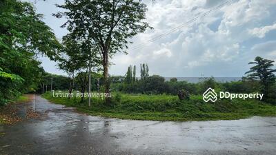 ขาย - ที่ดิน มวกเหล็ก พาราไดส์ รีสอร์ท (แปลงมุม), สระบุรี