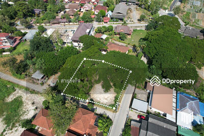 ขาย - รหัสทรัพย์ 202LS ขายที่ดิน แม่ริม 1-0-3 ตร.ว. ใกล้ โรงพยาบาลนครพิงค์, เชียงใหม่