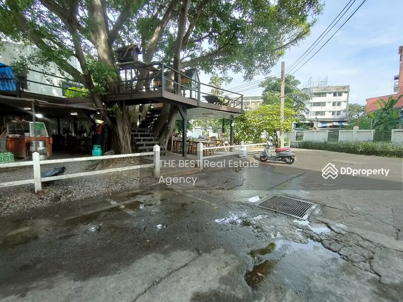 อาคารพาณิชย์ 3 ชั้นครึ่ง ติดถนน ใกล้วัดพระศรีรัตนมหาธาตุบางเขน ใกล้รถไฟฟ้าสถานีวัดพระศรีรัตนมหาธาตุ, กรุงเทพ, บางเขน, อนุสาวรีย์, บางเขน, กรุงเทพ, 250 ตร.ม., กิจการ ให้เช่า, โดย Khun Tassanee, 11136571 - DDproperty.com