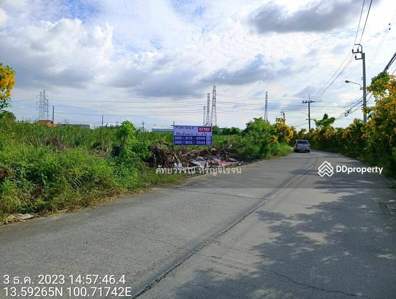 ขาย - ขาย ที่ดิน เทพารักษ์ กม.14 บางพลี ,มีหลายขนาด เริ่ม102-400ตร.ว. เหมาะปลูกบ้าน โกดัง ขาย25,000฿/ตร.ว, สมุทรปราการ