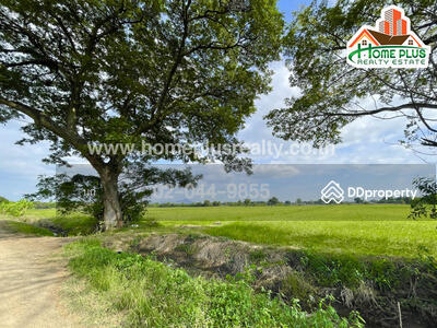 ขาย - ที่ดินตำบลบ้านกลับ อำเภอหนองโดน สระบุรี เนื้อที่ 6 ไร่ ใกล้สถานีรถไฟหนองโดน, สระบุรี