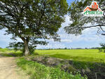 ที่ดินตำบลบ้านกลับ อำเภอหนองโดน สระบุรี เนื้อที่ 6 ไร่ ใกล้สถานีรถไฟหนองโดน, สระบุรี