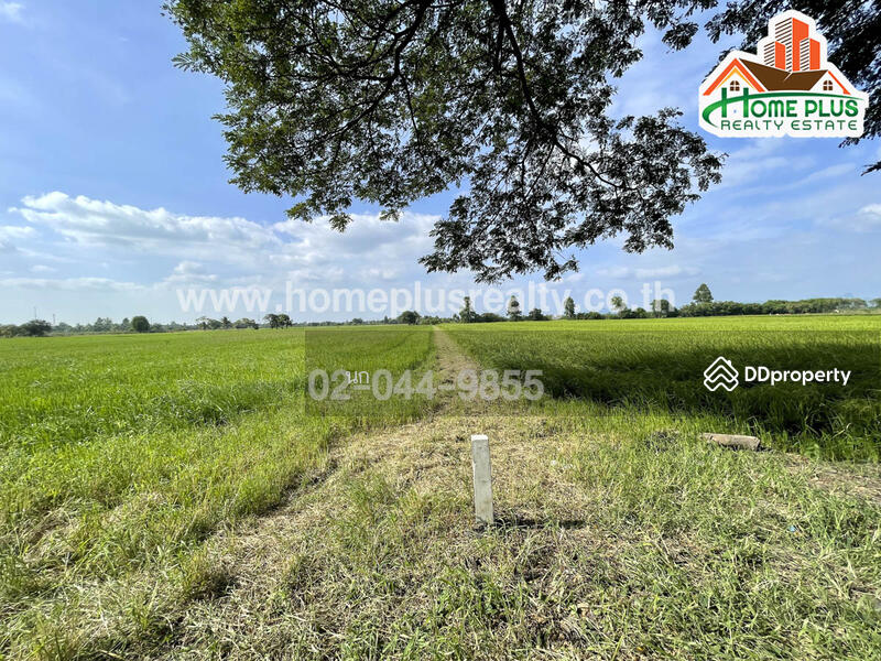 ที่ดินตำบลบ้านกลับ อำเภอหนองโดน สระบุรี เนื้อที่ 6 ไร่ ใกล้สถานีรถไฟหนองโดน, สระบุรี, บ้านกลับ, หนองโดน, สระบุรี, 9,600 ตร.ม., ที่ดิน ขาย, โดย นก, 11137664 - DDproperty.com