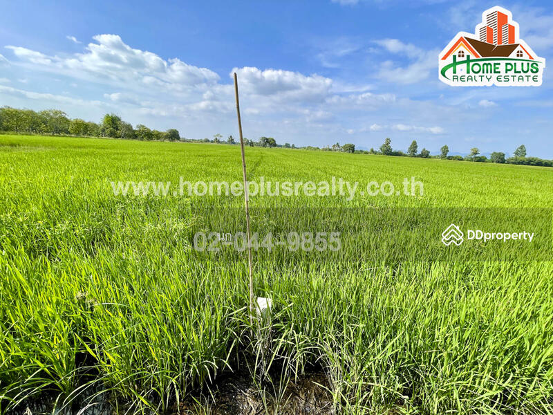 ที่ดินตำบลบ้านกลับ อำเภอหนองโดน สระบุรี เนื้อที่ 6 ไร่ ใกล้สถานีรถไฟหนองโดน, สระบุรี, บ้านกลับ, หนองโดน, สระบุรี, 9,600 ตร.ม., ที่ดิน ขาย, โดย นก, 11137664 - DDproperty.com