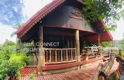 ขาย - ขายที่ดิน 215 ตรว. พร้อมบ้านเดี่ยว ริมแม่น้ำแม่กลอง แนวรีสอร์ท โพธาราม ราชบุรี ร่มรื่นบรรยากาศดี, ราชบุรี